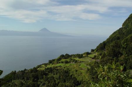 PR2SJO Serra do Topo / Fajã dos Vimes - Mapas e GPS - Percurso Pedestre em São Jorge - Trilhos dos Açores