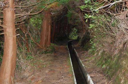 Levadas - Praia do Norte - Maps and GPS Tracks - Hiking Routes in Faial - Trails in Azores