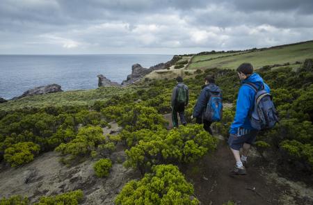 PR2TER Baías da Agualva - Mapas e GPS - Percurso Pedestre na Terceira - Trilhos dos Açores