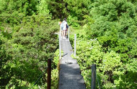 Levadas - Praia do Norte - Maps and GPS Tracks - Hiking Routes in Faial - Trails in Azores