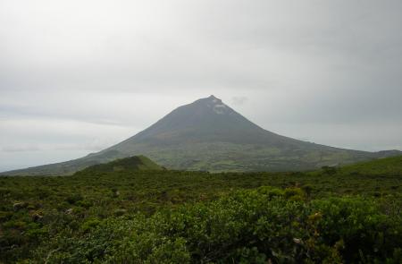 PR2PIC Caminho dos Burros: vertente Norte - Mapas e GPS - Percurso Pedestre no Pico - Trilhos dos Açores