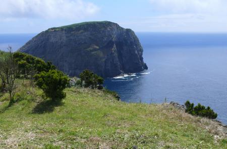 PRC5FAI Rumo ao Morro de Castelo Branco - Maps and GPS Tracks - Hiking Routes in Faial - Trails in Azores