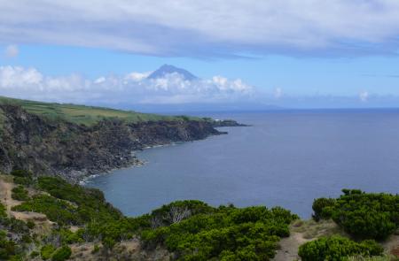 PRC5FAI Rumo ao Morro de Castelo Branco - Maps and GPS Tracks - Hiking Routes in Faial - Trails in Azores