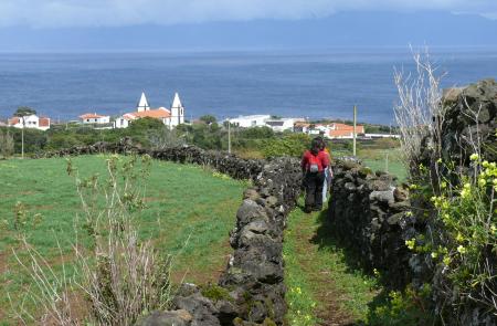 PRC8PIC Ladeira dos Moinhos - Maps and GPS Tracks - Hiking Routes in Pico - Trails in Azores