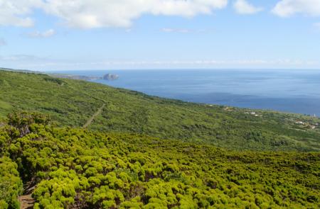  Capelo - Capelinhos - Maps and GPS Tracks - Hiking Routes in Faial - Trails in Azores