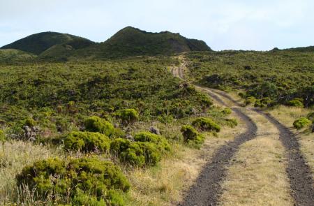 PR2PIC Caminho dos Burros: vertente Norte - Mapas e GPS - Percurso Pedestre no Pico - Trilhos dos Açores