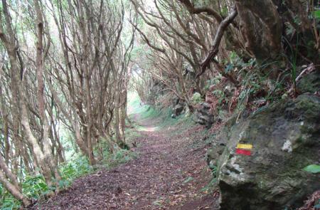 Rocha da Fajã, Maps and GPS Tracks, Hiking Routes in Faial, Trails in Azores