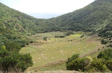 PRC4TER Monte Brasil - Maps and GPS Tracks - Hiking Routes in Terceira - Trails in Azores