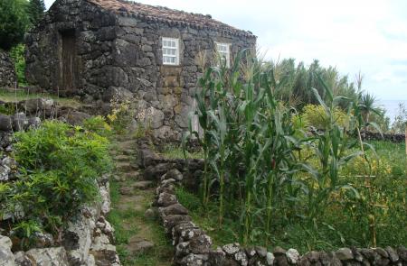 PRC5SJO Fajã de Além - Maps and GPS Tracks - Hiking Routes in São Jorge - Trails in Azores